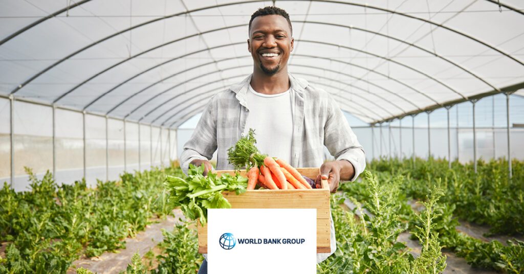 Everything Connected: Building Systems to Create Jobs | The Development Podcast: Bhaskar Chakravorti